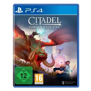 Blue Isle Studios Citadel: Forged with Fire, PlayStation 4, Multiplayer-Modus, T (Jugendliche), Physische Medien