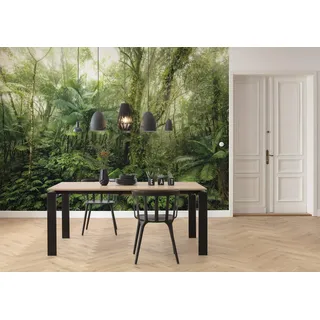KOMAR Mindfulness 350 x 250 cm