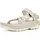 Damen Oyster 37