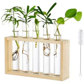 LuxusKollektion Blumenständer Tischplatte Moderne Glas Pflanzer 5 Reagenzglas Holz Vase Hydroponik bunt