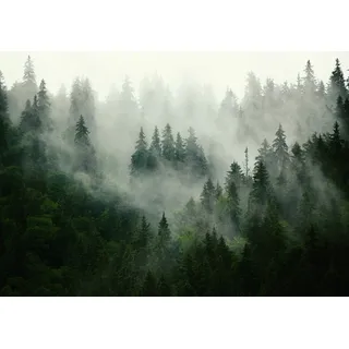 Forwall - Vlies Fototapete Wald Nebel Natur Bäume Landschaft Skandinavisch 416x290 cm - Fototapeten - Tapeten - für Wohnzimmer Schlafzimmer - Vliestapete Wandtapete Tapete 3D Effekt- inkl. Kleister