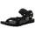 black 43