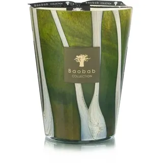 BAOBAB Woods Sherwood Duftkerze 24 cm