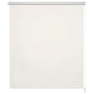 LIEDECO Seitenzugrollo 150 x 150 cm creme