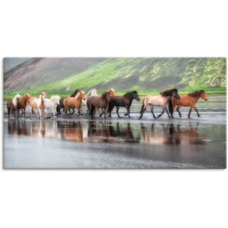 Artland Wandbild Isländische Pferde XIV, Haustiere (1 St), als Leinwandbild, Wandaufkleber in verschied. Größen beige 60 cm x 30 cm
