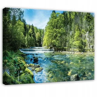 WALLARENA Leinwandbild Wald in Grün | Gr.: 60 x 40 cm