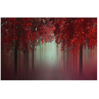 Papermoon Premium collection Fototapete Aus Liebe Wald Rot  (B x H: 400 x 260 cm, Vlies)