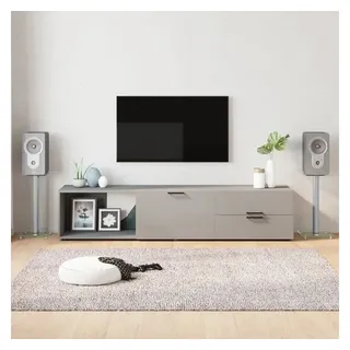 vidaXL Lautsprecher-Ständer 2 Stk. Silber