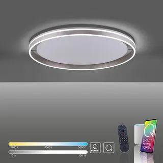 Paul Neuhaus Q-Vito LED-Deckenlampe 79cm stahl