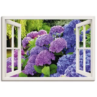 Wandbild ARTLAND "Fensterblick Hortensien im Garten" Bilder Gr. B/H: 100 cm x 70 cm, Leinwandbild Blumen Querformat, 1 St., lila Kunstdrucke als Leinwandbild, Poster in verschied. Größen