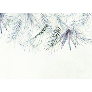 Komar Vlies Fototapete Palm Spring 350 x 250 cm