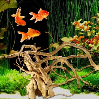Djowyh Treibholz- Schildkrötenpanzer Baumwurzel Treibholz Für Das Aquarium | Baumwurzel Echtholz Fingerwurzel Terrarium Deko Aquarium Wurzel Für Aquarien, Kleine Fische Verstecken Ruftup