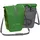 Paar parrot green