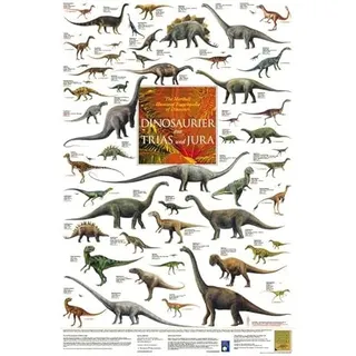 Dinosaurier aus Trias und Jura Poster laminiert Korck, Planet Poster Editions
