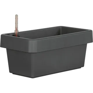 geli Blumenkasten Viva 40 x 21 x 17 cm