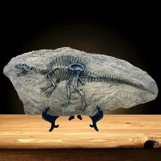 XINDAM Harz Spinosaurus Dinosaurier Fossil Statue Modell Simuliertes Skelett Home Office Display Dekorative Handwerk Box Dekoration (Stil 8)