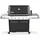FS38 E Gasgrill Schwarz