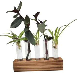 Reagenzgläser Für Blumen, Reagenzglas Vase Deko, Ableger Pflanzen Glas, Hydrokultur Glas,Propagation Station,Pflanzen Geschenke,Blumenvasen Klein-5A
