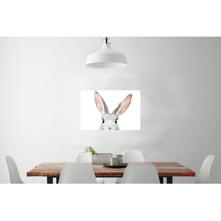 MuchoWow Poster Kaninchen - Tiere - Natur - Weiß, (1 St), Wandbild, Deko, Schlafzimmer, Wohnzimmer, Qualitätsdruck Dickes Papier bunt 90 cm x 60 cm