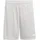 Sport-Shorts grau L