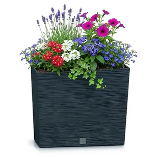 Prosperplast Furu T 18 x 58 x 49,8 cm Anthrazit