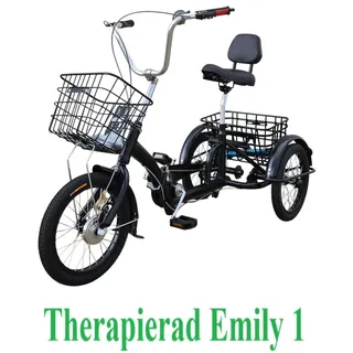 Therapierad Erwachsene Dreirad Emily 1 Faltbar klein Fahrrad