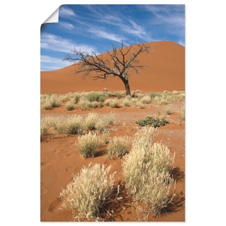 Wandbild »Namib-Wüste 2«, Afrika, (1 St.), als Alubild, Leinwandbild, Wandaufkleber oder Poster in versch. Größen, 11023937-0 orange B/H: 40 cm x 60 cm