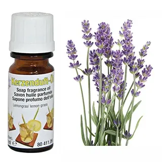 CREATIV DISCOUNT Kerzen-Duftöl, 10ml, Lavendel