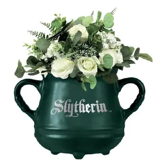 Unbekannt Half Moon Bay Blumentopf für die Wand - Harry Potter Kessel von Slytherin Pflanztopf - Harry Potter Fanartikel - Offizielle Lizenz