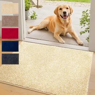 casa pura Schmutzfangmatte innen 60 x 90 cm Beige - rutschfeste Maschinenwaschbare Fußmatte - Türmatte Sauberlaufmattestürmatte - Fussmatte für Hund - Haustür & Flur - NASA