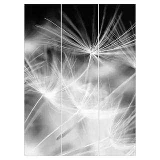 Bilderdepot24 Schiebegardine modern Flächenvorhang blickdicht Pusteblumen (3 St), halbtransparent, Wohnzimmer große Flächengardine lichtdurchlässig als Klemm-System schwarz 180 cm x 250 cm