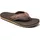 Dawn braun 42