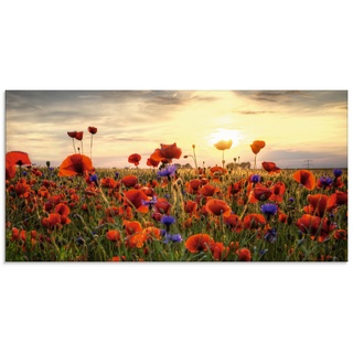 Glasbild ARTLAND "Mohnblumen" Bilder Gr. B/H: 100 cm x 50 cm, Glasbild Blumen Querformat, 1 St., rot Glasbilder