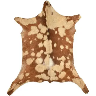 KUHFELL online & NOMAD Fellteppich ECHTES ZIEGENFELL BRAUN BEIGE DEKOFELL 80 x 60 cm braun