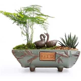 DWhui Blumentöpfe Bonsai Topf Grünpflanze Kiln Töpfe Creative Ceramics chinesischen Stil Große Wen Bambus Fleshy Lila Sand Vintages Steintopf