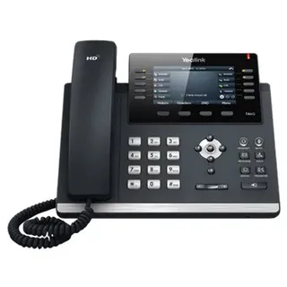 T46G neu