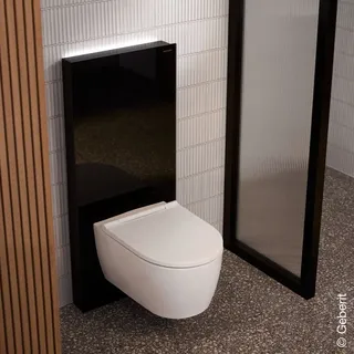 Geberit Monolith Plus Sanitärmodul Fr. Gl. sw, S. Alu SW-chrom