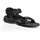 black 45,5