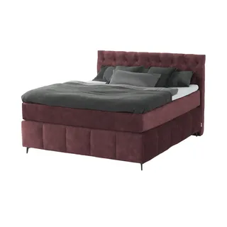 jette home Glam New 182 x 132,5 cm Rot