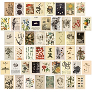 KOSKIMER 50-teiliges Vintage-Wandcollage-Set, ästhetische Bilder, Poster für Zimmer, ästhetischer Vintage, niedliche Schlafsaal-Fotocollage für Teenager-Mädchen, botanische Wandkunst