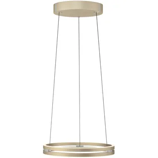 Paul Neuhaus E-Loop 1-flg. 50 cm gold-weiß