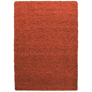 Ayyildiz Life Shaggy 1500 Hochflorteppich 240 x 340 cm terra