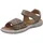 Beige 38