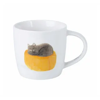 Designer Homeware Distribution GmbH FELINE FRIENDS Becher Perfect Fit Cat in Geschenkbox