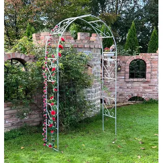 DanDiBo Ambiente Rosenbogen 120 x 120 cm Silber
