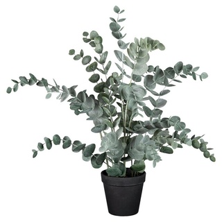 Gasper Eucalyptus im Topf 53 cm - Kunstpflanzen