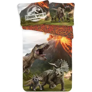 Jerry Fabrics, Kinderbettwäsche, Bettbezug Jurassic World (140 x 200 cm, 70 x 90 cm)