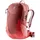 caspia/currant (3400021-5589)