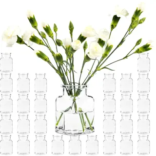 30 Stück, Eckige Mini Vasen Glasfläschchen kleine Dekoflaschen Väschen Flasche Vase Blumenvase Glasflaschen Transparent