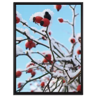 Pixxprint Hagebuttenstrauch mit rot Leinwandbild 80x60 cm im Bilderahmen, Wandbild, Schattenfugenrahmen, Kein Poster